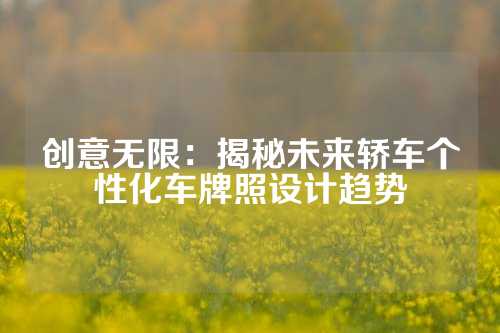 创意无限:揭秘未来轿车个性化车牌照设计趋势