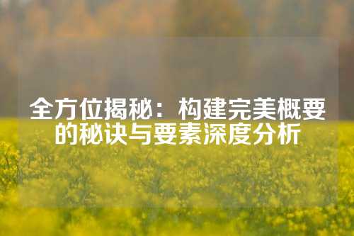 全方位揭秘：构建完美概要的秘诀与要素深度分析