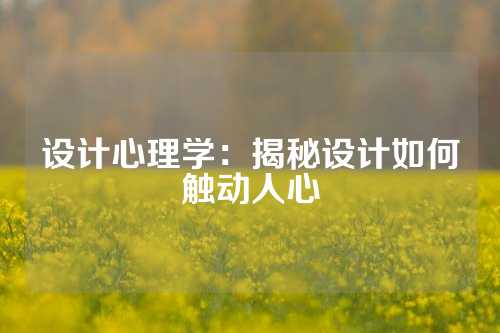 设计心理学：揭秘设计如何触动人心