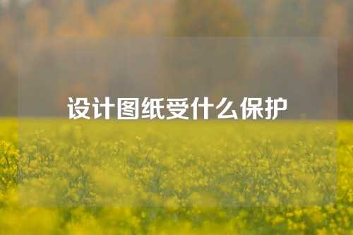 设计图纸受什么保护