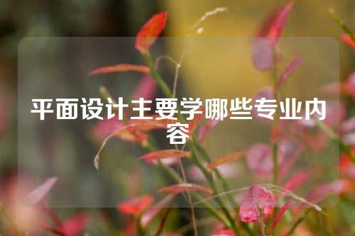 平面设计主要学哪些专业内容