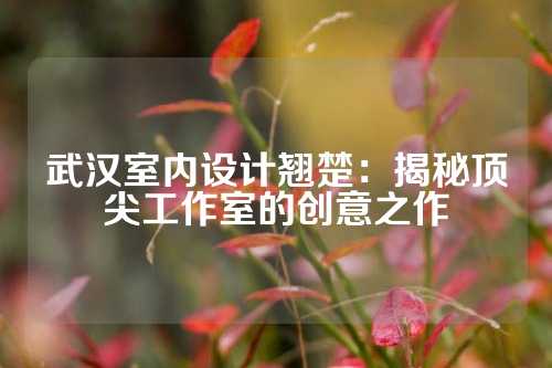 武汉室内设计翘楚：揭秘顶尖工作室的创意之作