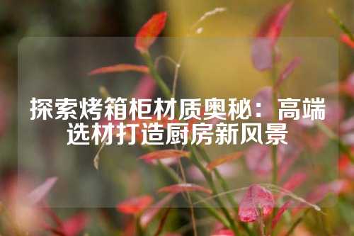 探索烤箱柜材质奥秘：高端选材打造厨房新风景
