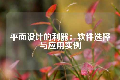 平面设计的利器：软件选择与应用实例