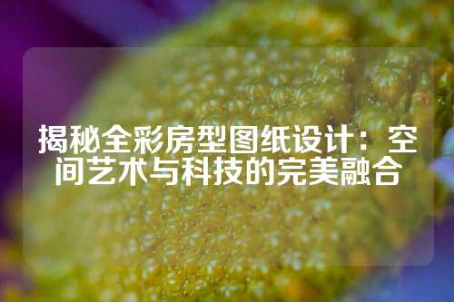 揭秘全彩房型图纸设计：空间艺术与科技的完美融合
