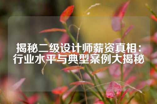 揭秘二级设计师薪资真相：行业水平与典型案例大揭秘