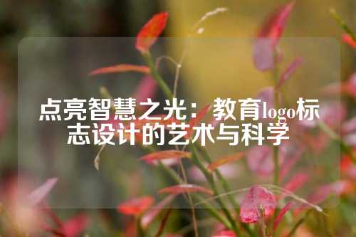 点亮智慧之光：教育logo标志设计的艺术与科学