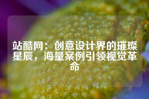 站酷网：创意设计界的璀璨星辰，海量案例引领视觉革命