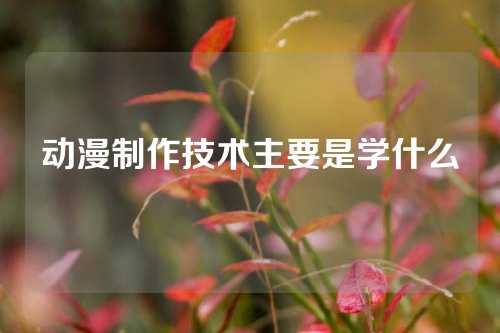 动漫制作技术主要是学什么