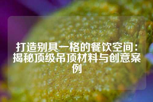 打造别具一格的餐饮空间:揭秘顶级吊顶材料与创意案例