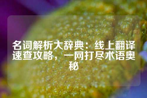 名词解析大辞典：线上翻译速查攻略，一网打尽术语奥秘
