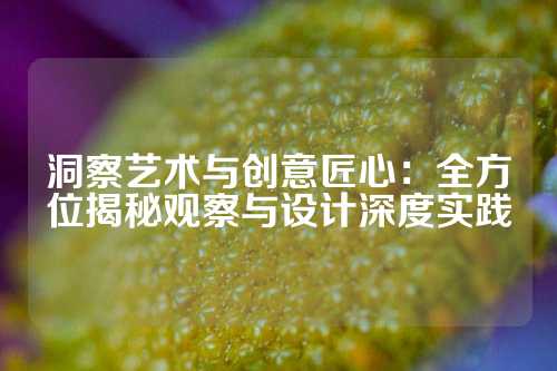 洞察艺术与创意匠心:全方位揭秘观察与设计深度实践