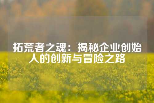 拓荒者之魂：揭秘企业创始人的创新与冒险之路