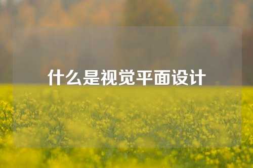 什么是视觉平面设计