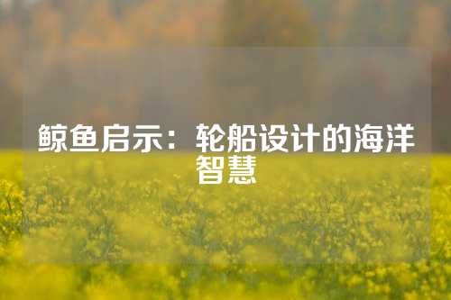鲸鱼启示：轮船设计的海洋智慧