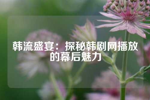 韩流盛宴:探秘韩剧网播放的幕后魅力