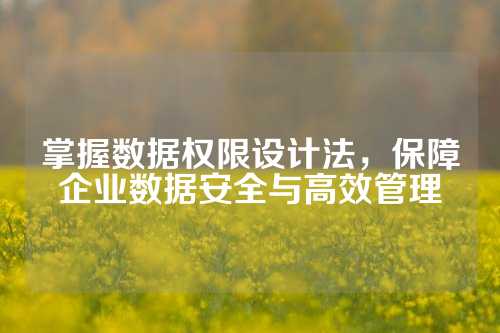 掌握数据权限设计法，保障企业数据安全与高效管理