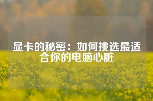 显卡的秘密：如何挑选最适合你的电脑心脏