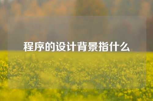 程序的设计背景指什么