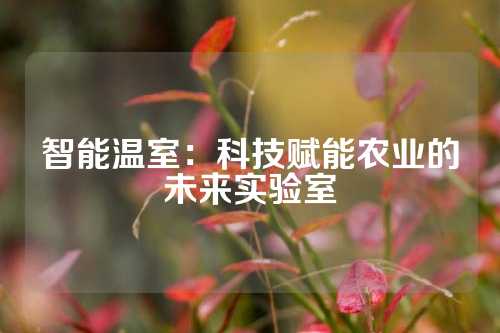 智能温室：科技赋能农业的未来实验室