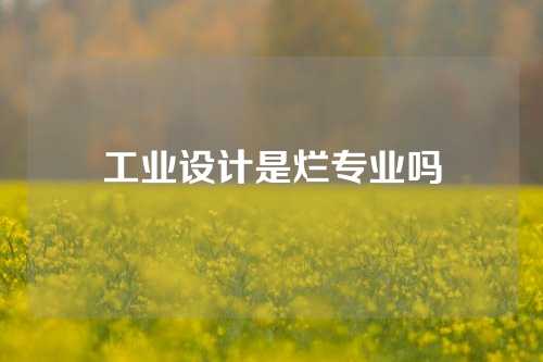 工业设计是烂专业吗