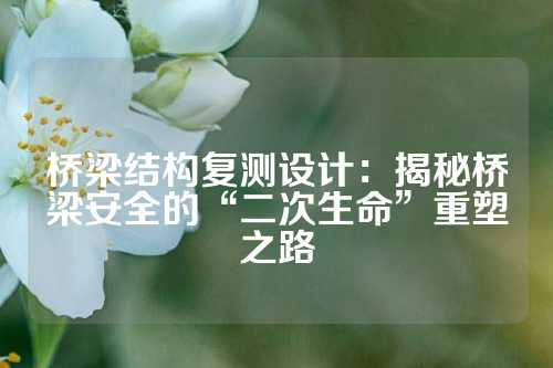 桥梁结构复测设计：揭秘桥梁安全的“二次生命”重塑之路