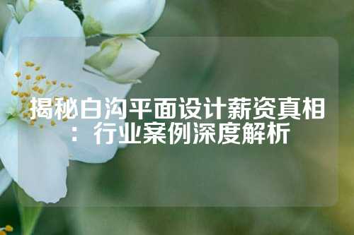 揭秘白沟平面设计薪资真相：行业案例深度解析