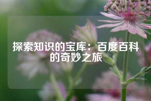 探索知识的宝库：百度百科的奇妙之旅
