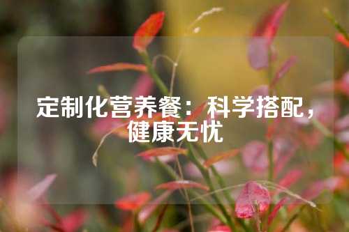 定制化营养餐：科学搭配，健康无忧