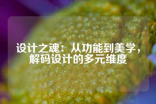 设计之魂：从功能到美学，解码设计的多元维度