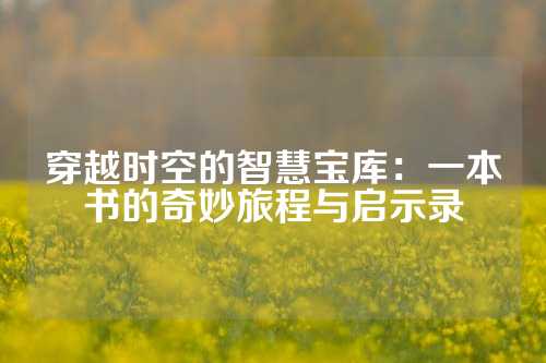 穿越时空的智慧宝库：一本书的奇妙旅程与启示录