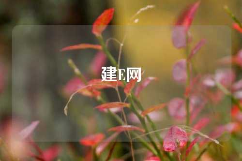 建E网