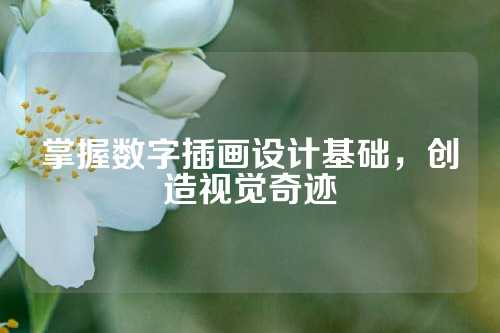 掌握数字插画设计基础，创造视觉奇迹