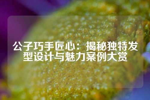 公子巧手匠心：揭秘独特发型设计与魅力案例大赏