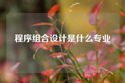 程序组合设计是什么专业