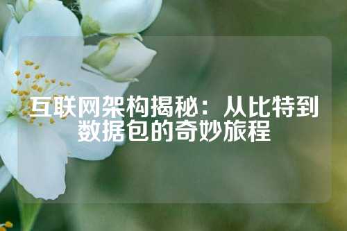 互联网架构揭秘:从比特到数据包的奇妙旅程