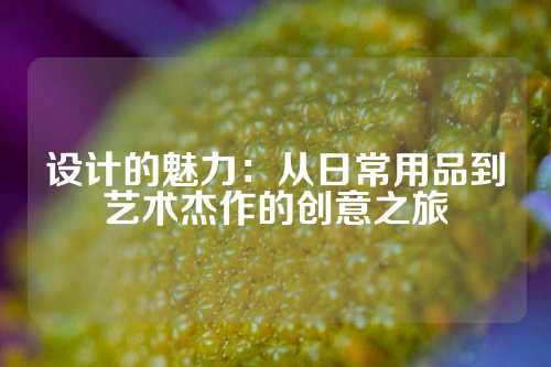 设计的魅力：从日常用品到艺术杰作的创意之旅