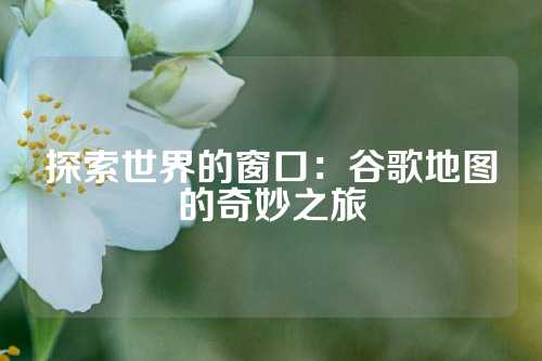 探索世界的窗口：谷歌地图的奇妙之旅