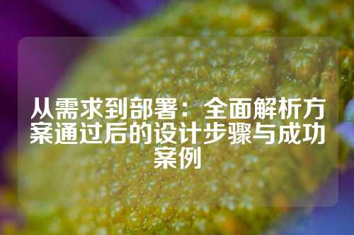 从需求到部署：全面解析方案通过后的设计步骤与成功案例