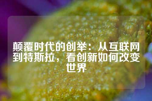 颠覆时代的创举：从互联网到特斯拉，看创新如何改变世界