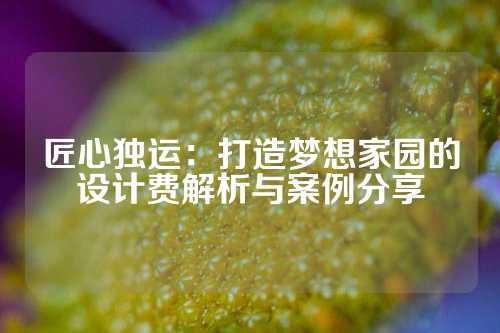 匠心独运：打造梦想家园的设计费解析与案例分享