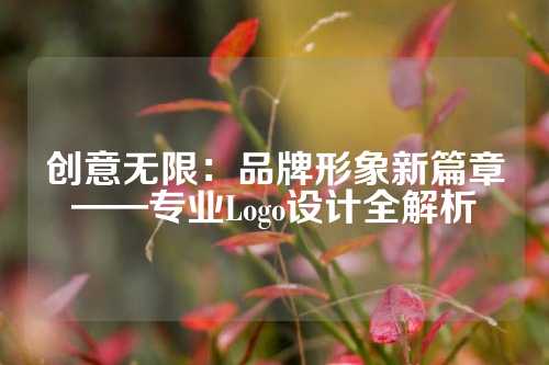 创意无限：品牌形象新篇章——专业Logo设计全解析