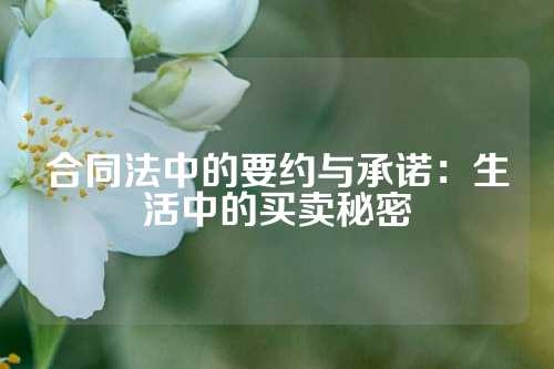 合同法中的要约与承诺：生活中的买卖秘密