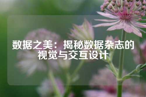 数据之美：揭秘数据杂志的视觉与交互设计