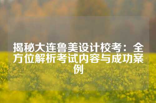 揭秘大连鲁美设计校考：全方位解析考试内容与成功案例