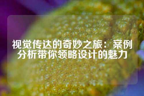 视觉传达的奇妙之旅：案例分析带你领略设计的魅力