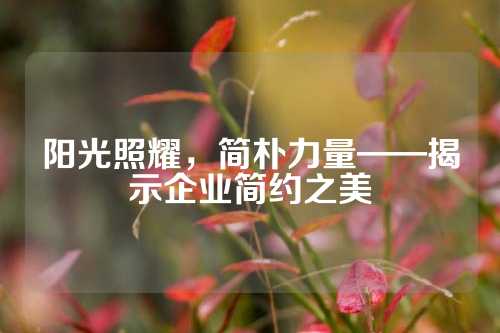 阳光照耀，简朴力量——揭示企业简约之美