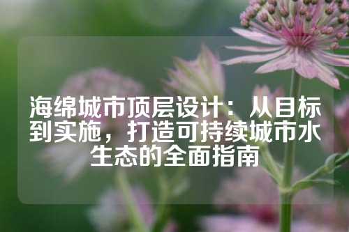 海绵城市顶层设计：从目标到实施，打造可持续城市水生态的全面指南
