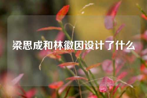 梁思成和林徽因设计了什么