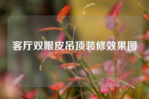 客厅双眼皮吊顶装修效果图